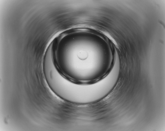 X0000096461484200801241356