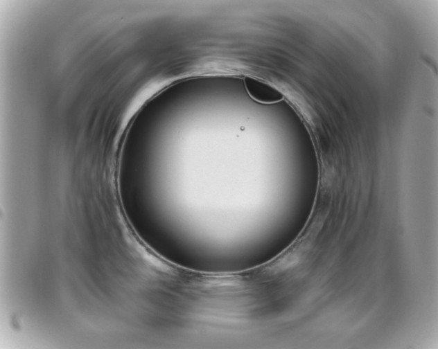 X0000096461486200801241355