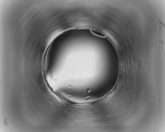 X0000096461487200801241355