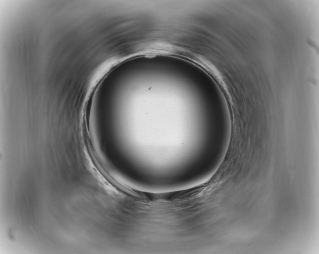 X0000096461488200801241355