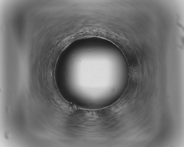 X0000096461489200801241355