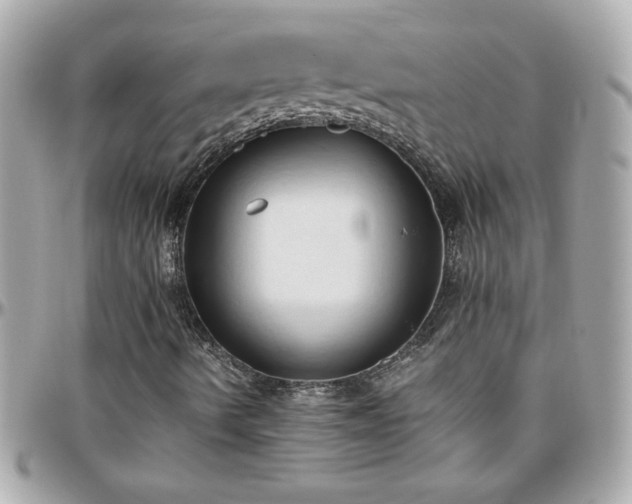 X0000096461490200801241355