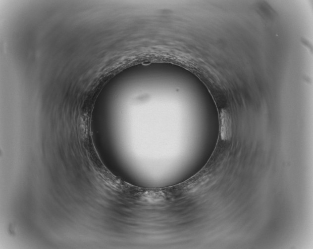 X0000096461491200801241355