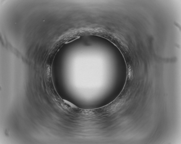 X0000096461492200801241355