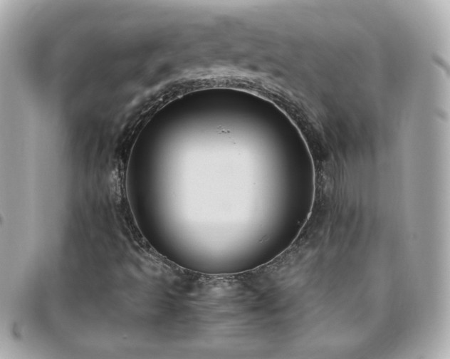 X0000096461493200801241355