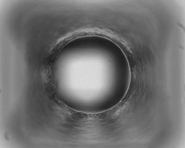 X0000096461494200801241355