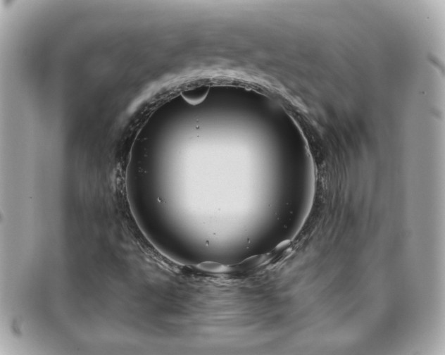 X0000096461495200801241355