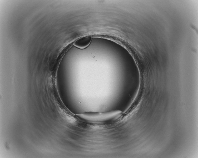 X0000096461497200801241355