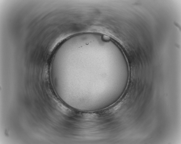 X0000096461498200801241355