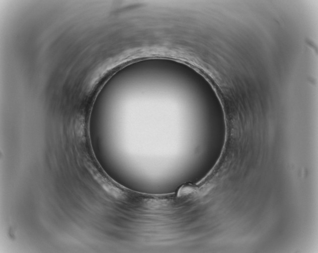 X0000096461499200801241355