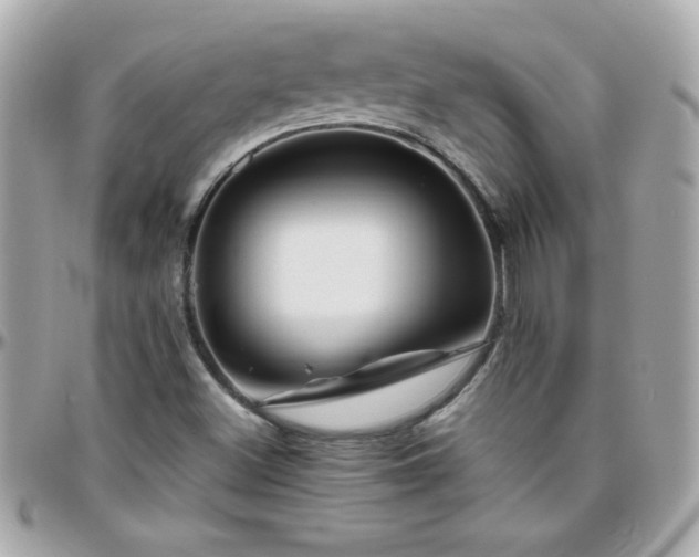 X0000096461500200801241355