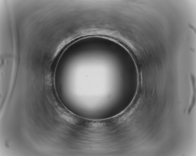 X0000096461501200801241355