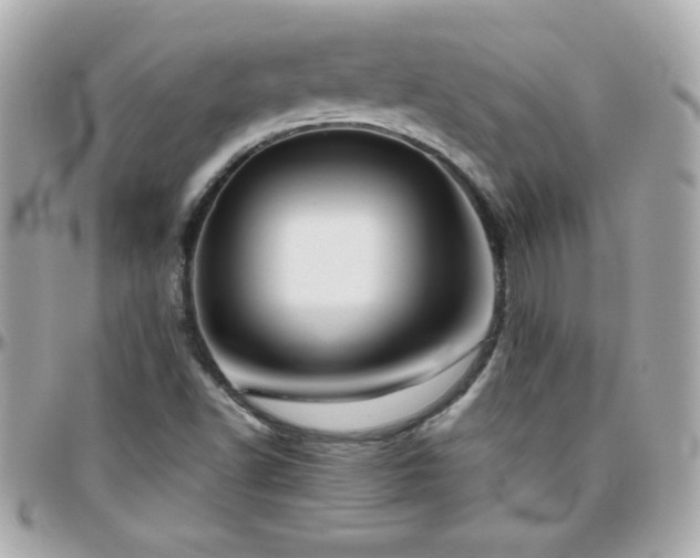 X0000096461502200801241355