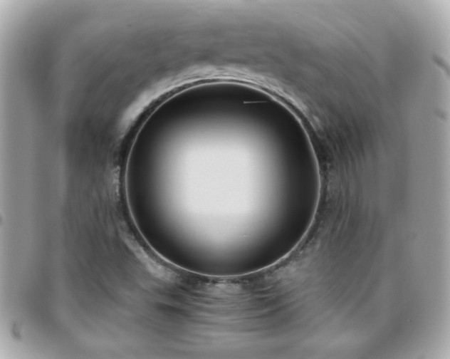 X0000096461503200801241355