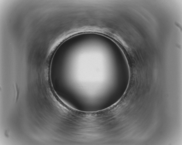 X0000096461504200801241355