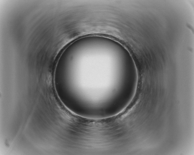 X0000096461505200801241355