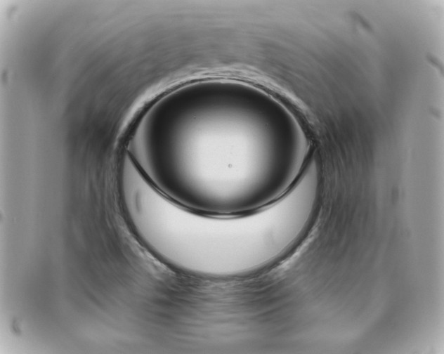 X0000096461506200801241355