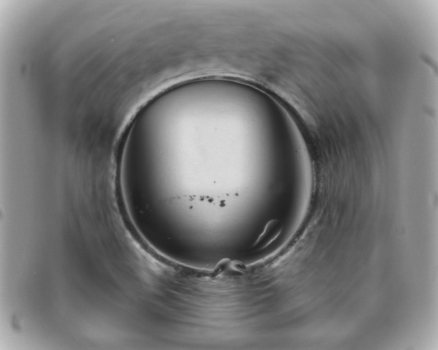 X0000096461508200801241355
