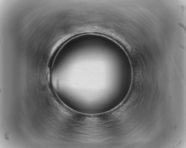 X0000096461509200801241355
