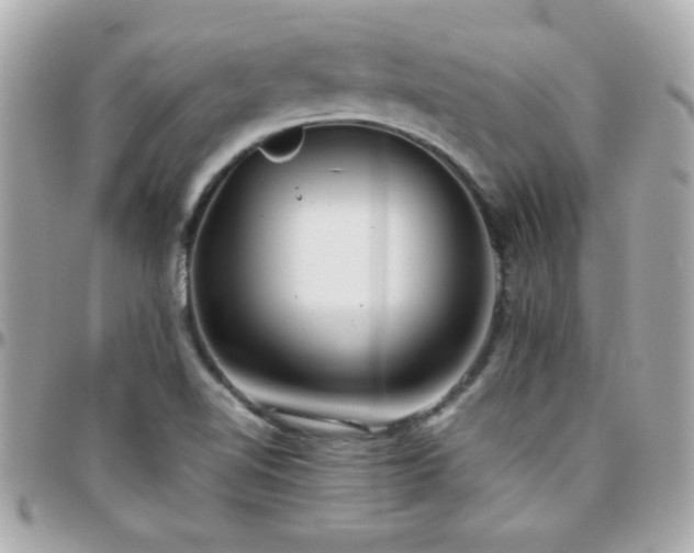 X0000096461510200801241355
