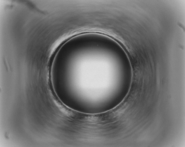 X0000096461511200801241355