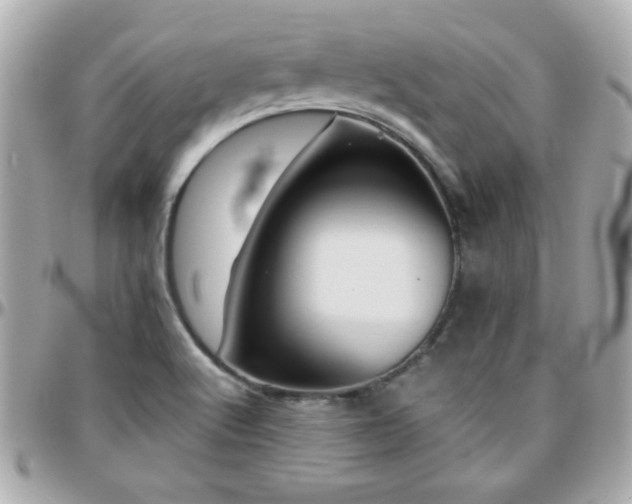 X0000096461512200801241355