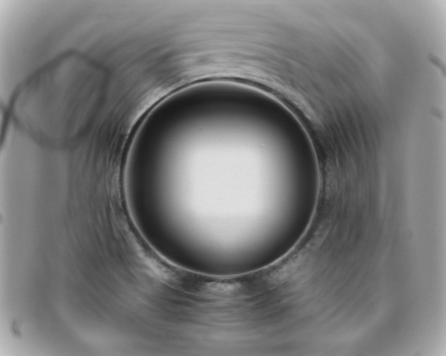 X0000096461513200801241355