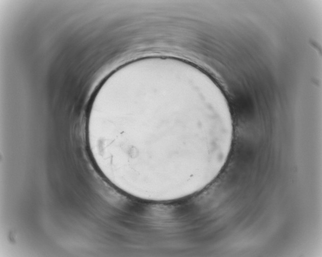 X0000096461514200801241355