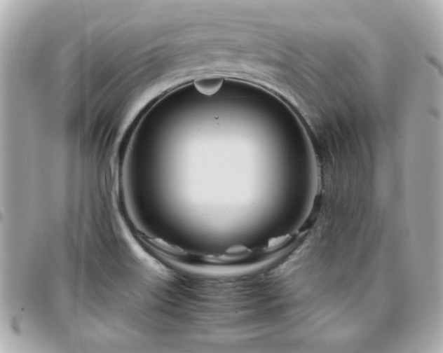 X0000096461515200801241355