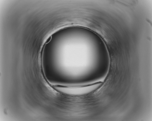 X0000096461516200801241355