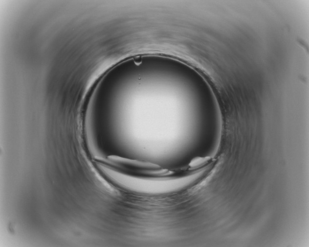 X0000096461517200801241355