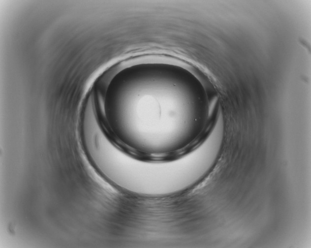 X0000096461518200801241355