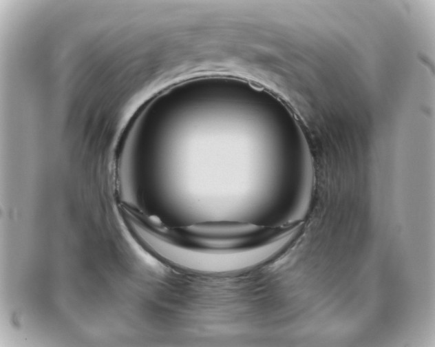 X0000096461519200801241355