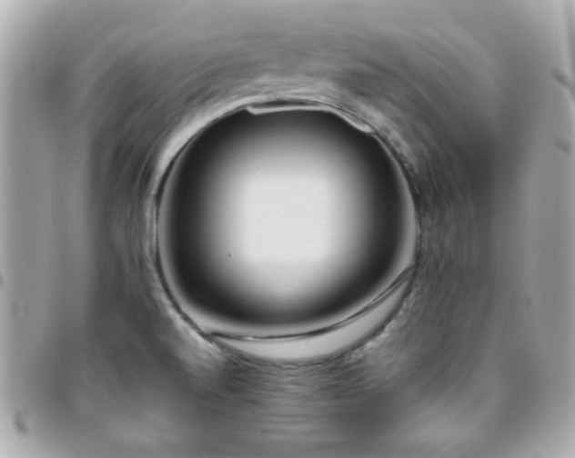 X0000096461520200801241355