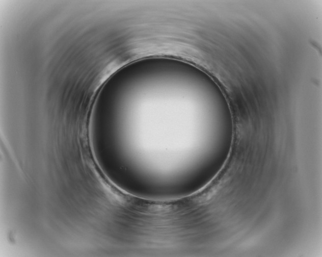 X0000096461521200801241355