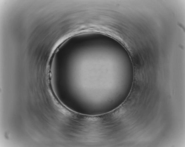 X0000096461522200801241355