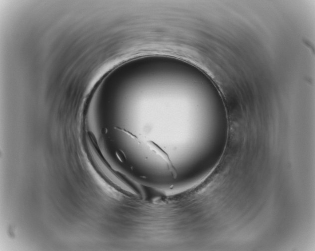X0000096461523200801241355