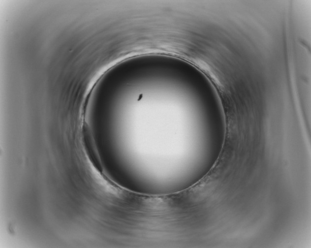 X0000096461524200801241355