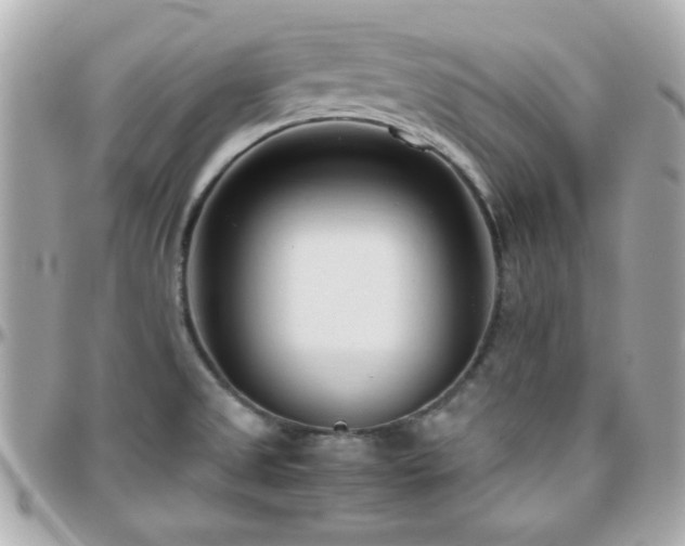 X0000096461525200801241355