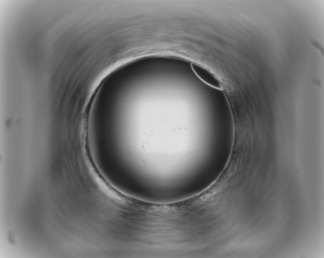 X0000096461526200801241355