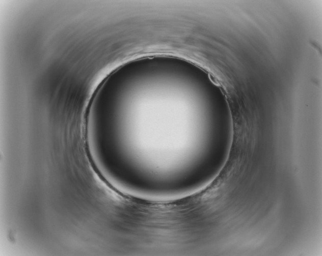X0000096461527200801241355