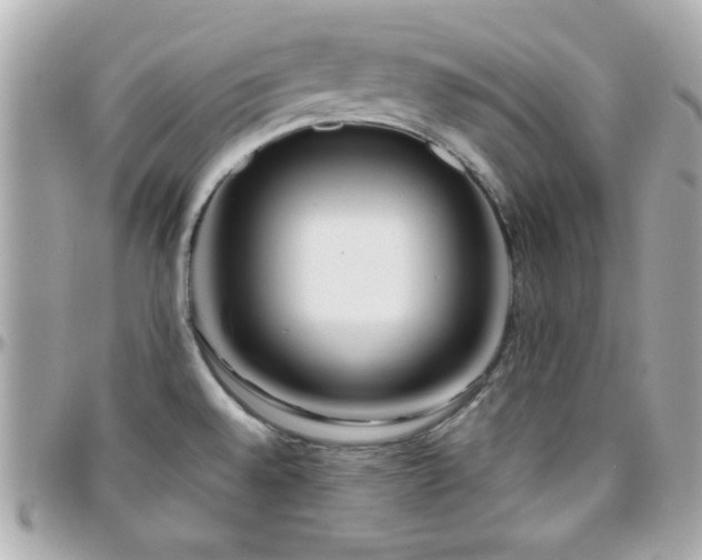 X0000096461528200801241355