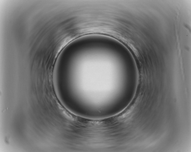 X0000096461529200801241355