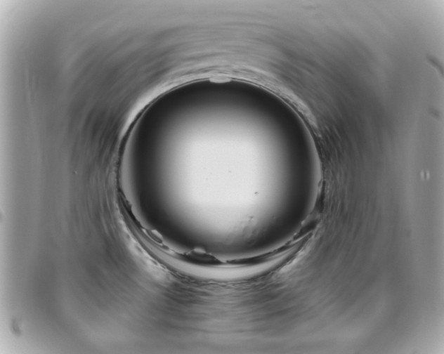 X0000096461530200801241355