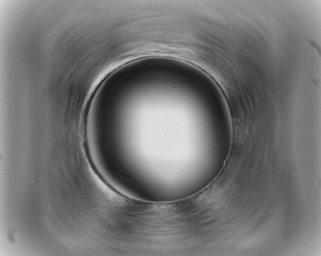 X0000096461531200801241355