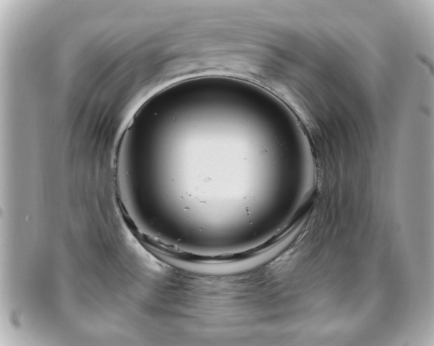 X0000096461532200801241355