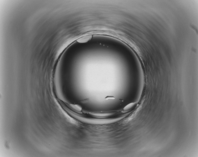 X0000096461533200801241355