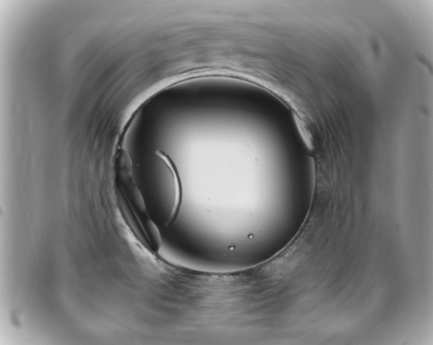 X0000096461534200801241355
