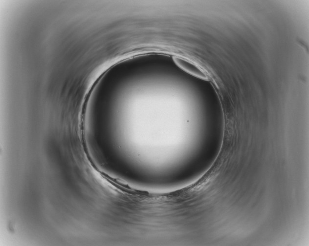 X0000096461535200801241355