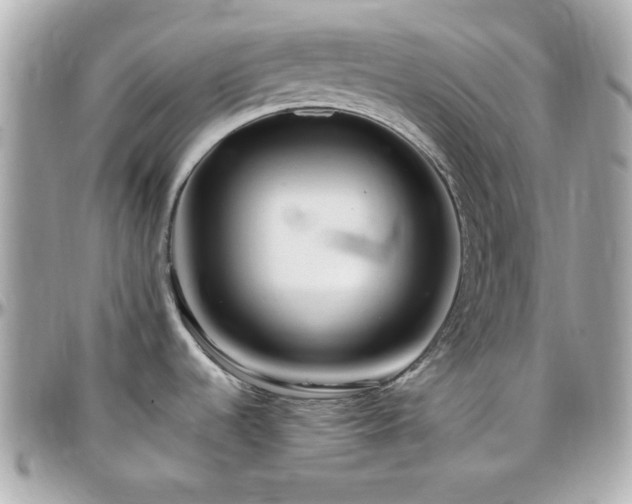 X0000096461536200801241355